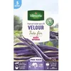 Image de Graine - Vilmorin - Haricot Nain Violet Velour - 5 m