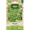 Image de Graine - Vilmorin - Origan Paula - BIO