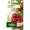Image de Graines - Vilmorin - Fraisier des Bois - BIO