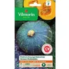 Image de Graines - Vilmorin - Potiron (Courge Kabocha) Green Hokkaido - Cuisine du Monde