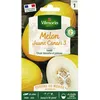 Image de Graines - Vilmorin - Melon Jaune Canari 3 - Cuisine du Monde