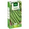 Image de Graine - Vilmorin - Haricot Nain Vert Talisman