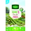 Image de Graine - Vilmorin - Haricot Nain Vert Oxinel 2 - 5 m