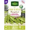 Image de Graine - Vilmorin - Pois Mangetout Corne de Bélier - 20 m