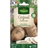 Image de Graines - Vilmorin - Cerfeuil Tubéreux - Légumes dAutrefois