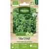 Image de Graine - Vilmorin - Basilic Fin Vert - BIO