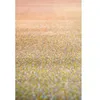 Image de Tapis Caro Multi Couleur160x230