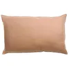 Image de Coussin Zeff Céleste dragee 40 x 65 cm Vivaraise.