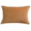 Image de Coussin elise 2411084000