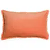 Image de Coussin Uni Vivaraise - Fara En Velours Coton 100%, Couleur Goyave (40 X 65 Cm)