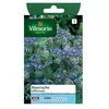 Image de Graine - Vilmorin - Bourrache Officinale