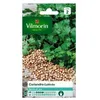 Image de Graine - Vilmorin - Coriandre cultivée