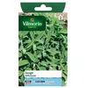 Image de Graine - Vilmorin - Sauge Officinale