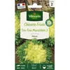 Image de Vilmorin Chicorée Frisée Très Fine Maraîchère 3