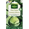 Image de Graines - Vilmorin - Chou Blanc Quintal dAlsace
