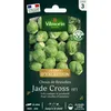 Image de Graines - Vilmorin - Chou de Bruxelles Jade Cross HF1 - Graines dException