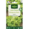 Image de Graines - Vilmorin - Laitue Batavia Blonde de Paris