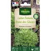 Image de Graines - Vilmorin - Laitue Batavia Reine des Glaces - Légumes dAutrefois