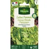 Image de Graines - Vilmorin - Laitue Pommée Grosse Blonde Paresseuse
