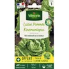 Image de Graines - Vilmorin - Laitue Pommée Kinemontepas + échantillon Sagess