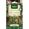 Image de Vilmorin Laitue dHiver Rougette de Montpellier - Légumes dAutrefois