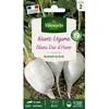 Image de Vilmorin Navet-Légume Blanc Dur dHiver