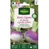 Image de Vilmorin Navet-Légume de Nancy à Feuille Entière