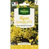 Image de Graines - Vilmorin - Alysse Corbeille dOr