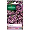 Image de Sachet Graines Alysse Tapis Royal