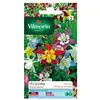 Image de Sachet Graines Ancolie Etoile Variée