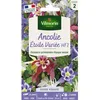 Image de Graines - Vilmorin - Ancolie Étoile Variée