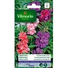 Image de Graines - Vilmorin - Balsamine Camélia Double Variée