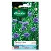 Image de Sachet Graines Centaurée Bleuet Bleue