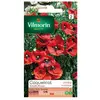 Image de Sachet Graines Coquelicot Simple Rouge