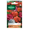Image de Sachet Graines Géranium Cricket Varié