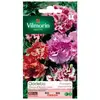 Image de Sachet Graines Godetia Fleurs D'azalée Varié