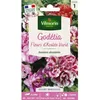 Image de Graines - Vilmorin - Godétia Fleurs dAzalée Varié