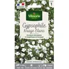 Image de Graines - Vilmorin - Gypsophile Nuage Blanc