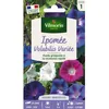 Image de Graines - Vilmorin - Ipomée Volubilis Variée