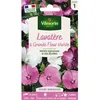 Image de Graines - Vilmorin - Lavatère à Grande Fleur Variée