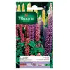Image de Sachet Graines Lupin De Russel Varié