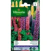 Image de Graines - Vilmorin - Lupin de Russel Varié