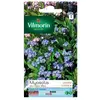 Image de Sachet Graines Myosotis Des Alpes Bleu