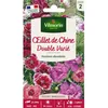 Image de Graines - Vilmorin -  illet de Chine Double Vilmorin Varié
