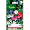 Image de Graines - Vilmorin - Pétunia Varié