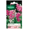Image de Sachet Graines Pois Vivace Varié