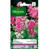 Image de Graines - Vilmorin - Pois Vivace Varié