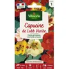 Image de Graines - Vilmorin - Capucine de Lobb Variée