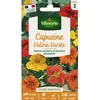 Image de Graines - Vilmorin - Capucine Valina Variée