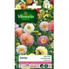 Image de Graines - Vilmorin - Dahlia Unwin Varié